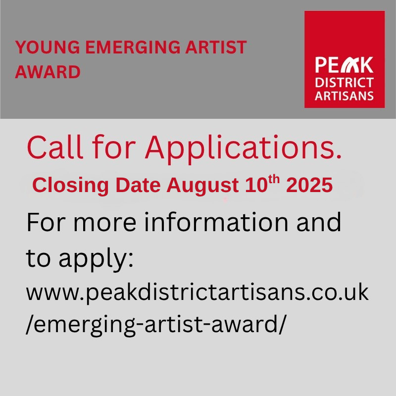 The Biennial PDA Emerging Artist Award Amanda