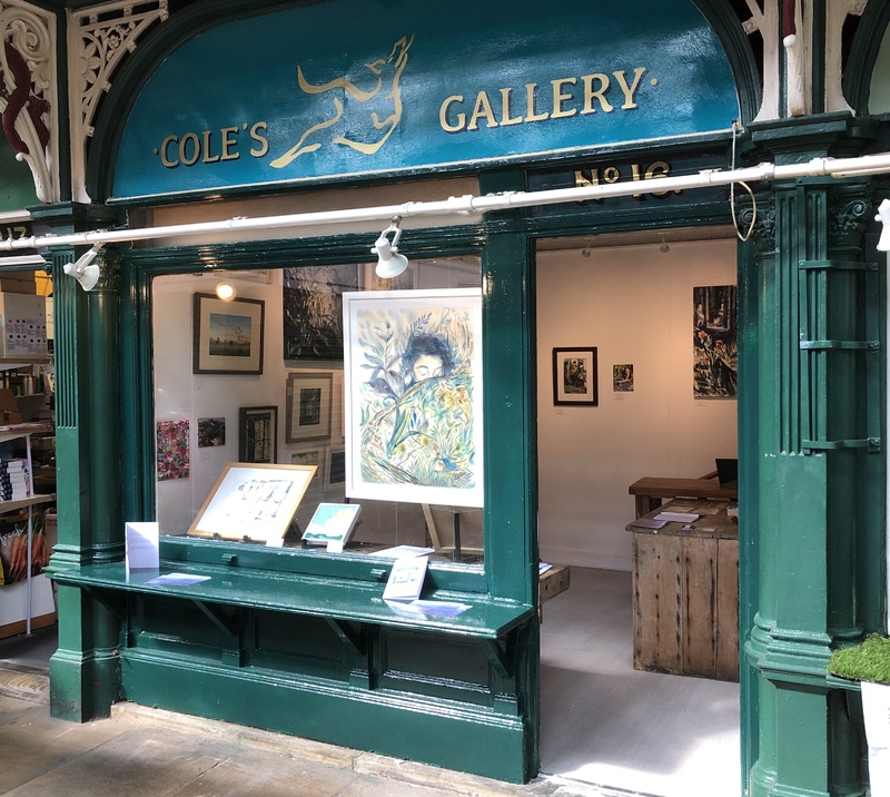 Cole’s Gallery