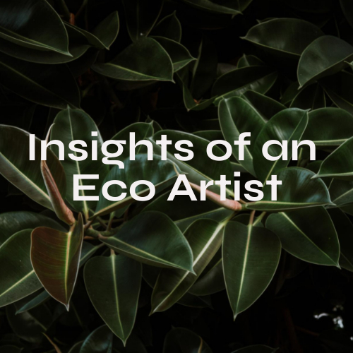 Insights of an Eco Artist